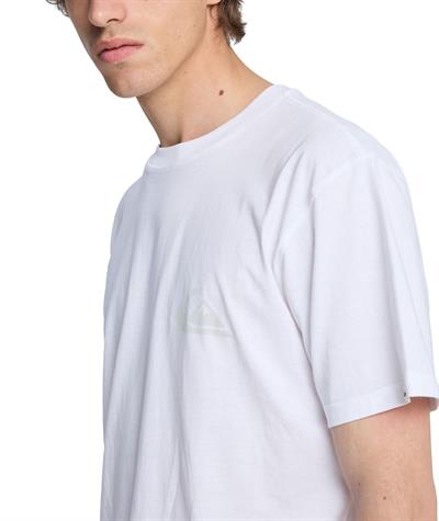 Quiksilver EV MINI LOGO Erkek Tişört EQYZT08181-QK.WBB0