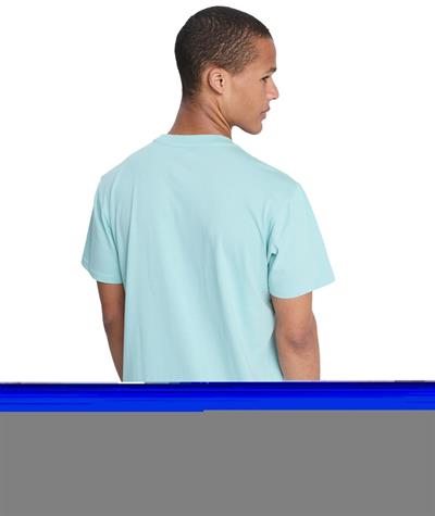 Quiksilver EV MINI LOGO Erkek Tişört EQYZT08181-QK.BGA0