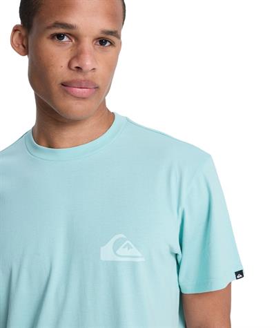 Quiksilver EV MINI LOGO Erkek Tişört EQYZT08181-QK.BGA0