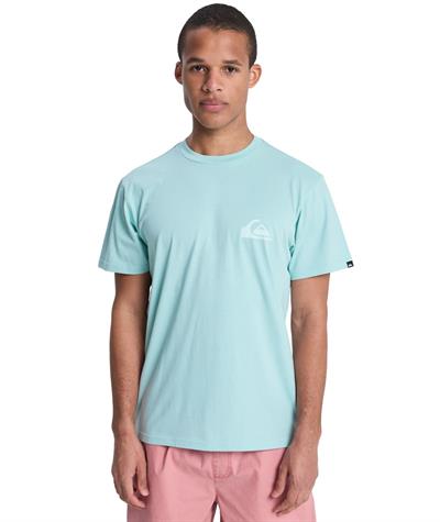 Quiksilver EV MINI LOGO Erkek Tişört EQYZT08181-QK.BGA0