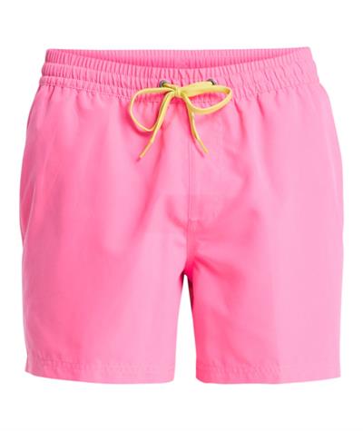 Quiksilver EVERYDAY 15 Erkek Şort EQYJV04120-QK.MJB0