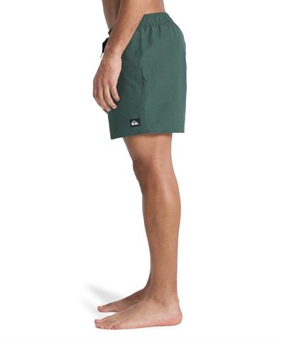 Quiksilver EVERYDAY 15 Erkek Şort EQYJV04120-QK.GRTH