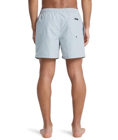 Quiksilver EVERYDAY 15 Erkek Şort EQYJV04120-QK.3082