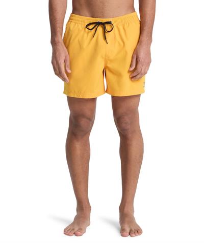 Quiksilver EVERYDAY 15 Erkek Şort EQYJV04120-QK.3091