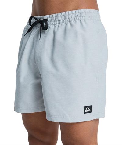 Quiksilver EVERYDAY 15 Erkek Şort EQYJV04120-QK.3082