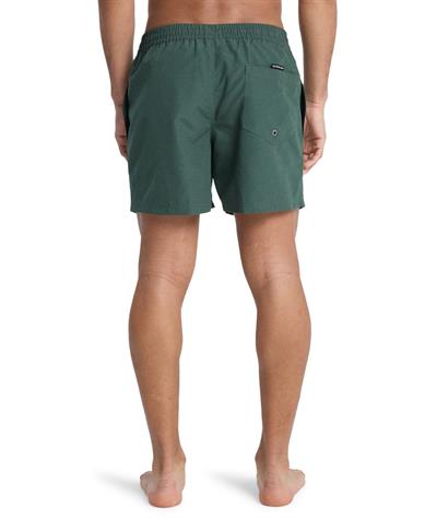 Quiksilver EVERYDAY 15 Erkek Şort EQYJV04120-QK.GRTH