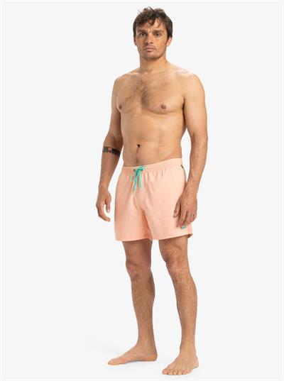 Quiksilver EVERYDAY SOLID VOLLEY 15 Erkek Volley Short EQYJV04120-QK.MEF0