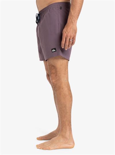 Quiksilver EVERYDAY SOLID VOLLEY 15 Erkek Volley Short EQYJV04120-QK.PQC0