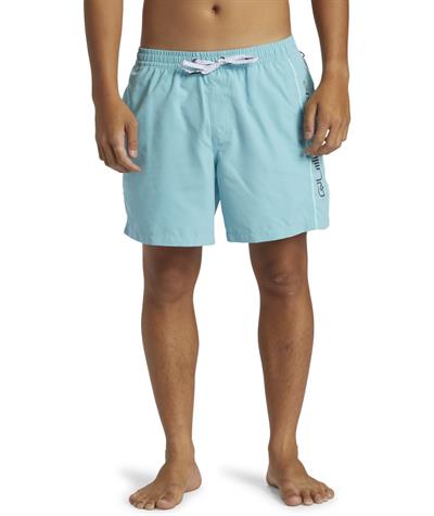 Quıksılver EVERYDAY VERT VOLLEY 16 Erkek Şort AQYJV03139-QK.BHA0