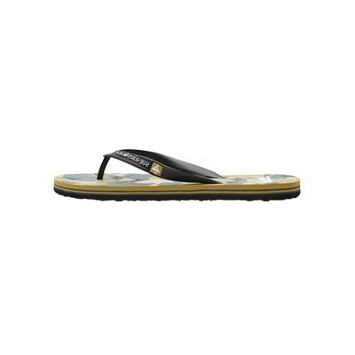 Quiksilver MOLOKAI ART  Erkek Terlik AQYL101264-QK.XKSC
