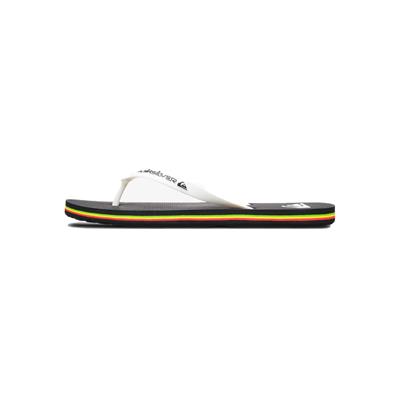 Quiksilver MOLOKAI CORE Erkek Terlik AQYL101325