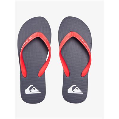 Quıksılver MOLOKAI CORE  Erkek Terlik AQYL101325-QK.RVJ1