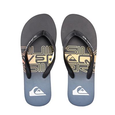 Quiksilver MOLOKAI WORDBLOCK Erkek Ayakkabı AQYL101287-QK.XKKN