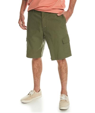 Quıksılver MW CARGO SHORT Erkek Şort EQYWS03861-QK.GPH0