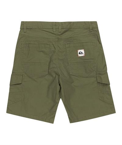 Quıksılver MW CARGO SHORT Erkek Şort EQYWS03861-QK.GPH0