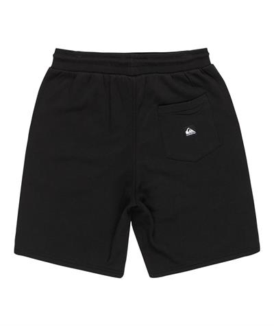 Quiksilver SALT WATER SHOR Erkek Şort EQYFB03392-QK.11783