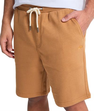 Quiksilver SALT WATER SHOR Erkek Şort EQYFB03392-QK.3106