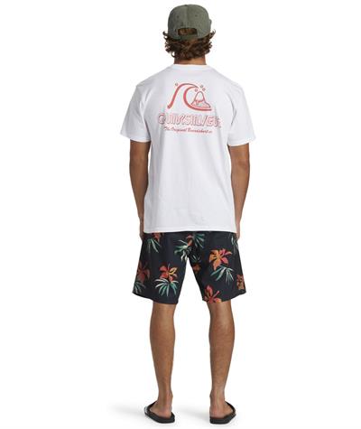 Quıksılver THE ORIGINAL BOARDSHORT MOR Erkek T-shirt AQYZT09560-QK.10