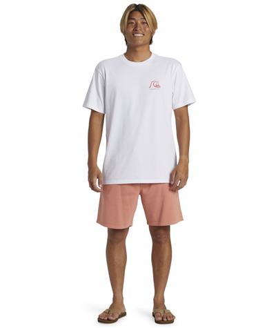 Quıksılver THE ORIGINAL BOARDSHORT MOR Erkek T-shirt AQYZT09560-QK.10