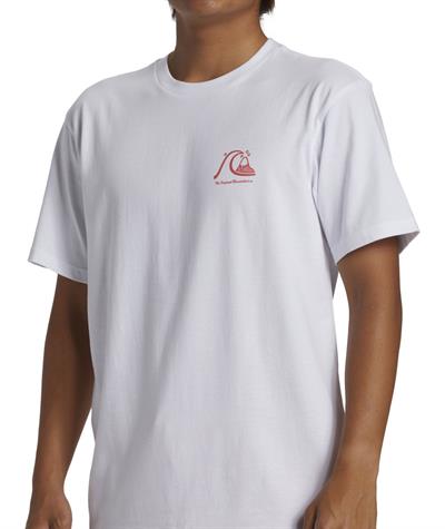 Quıksılver THE ORIGINAL BOARDSHORT MOR Erkek T-shirt AQYZT09560-QK.10