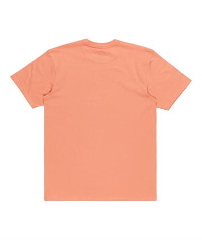 Quıksılver TROPICAL RAINBOW SS Erkek T-shirt EQYZT07679-QK.MJR0