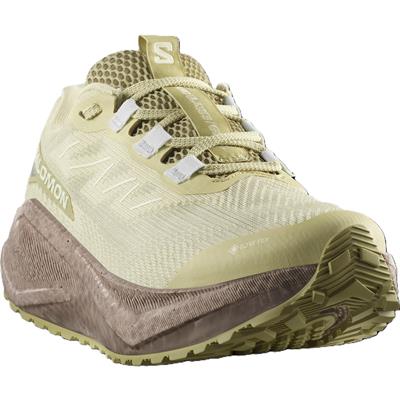 Salomon AERO BLAZE 3 GRVL Kadın Ayakkabısı L47978400