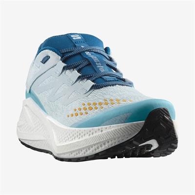 Salomon AERO GLIDE 3 GRVL Erkek Koşu Ayakkabısı L47811800