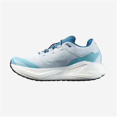 Salomon AERO GLIDE 3 GRVL Erkek Koşu Ayakkabısı L47811800