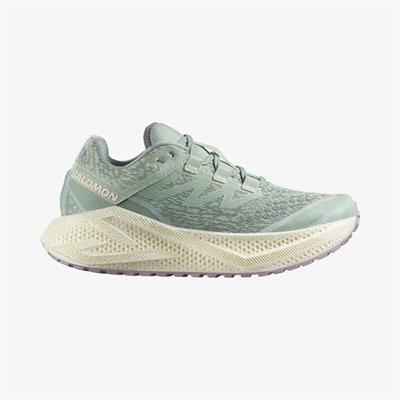 Salomon AERO GLIDE 3 GRVL W Kadın Koşu Ayakkabısı L47812600