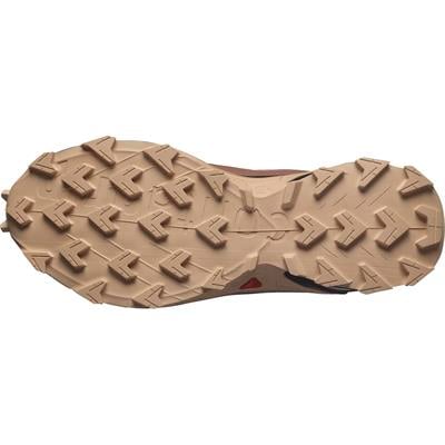 Salomon ALPHACROSS 5 GTX W Kadın Ayakkabı L47595100