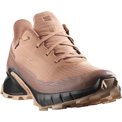 Salomon ALPHACROSS 5 GTX W Kadın Ayakkabı L47595100