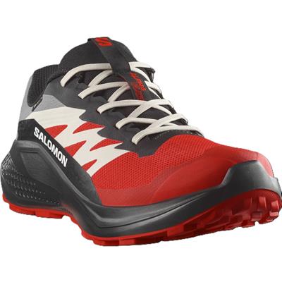 Salomon ALPHAGLIDE GORE-TEX Erkek Ayakkabısı L47975200