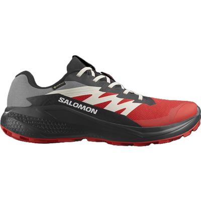 Salomon ALPHAGLIDE GORE-TEX Erkek Ayakkabısı L47975200