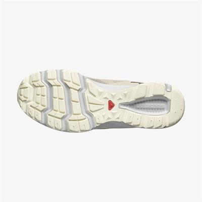 Salomon AMPHIB BOLD 2 W Kadın Ayakkabısı L47447100