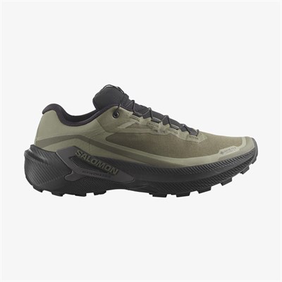Salomon GENESIS 2 GTX Erkek GORE-TEX Koşu Ayakkabısı  L49301900