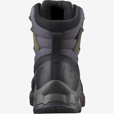 Salomon QUEST ELEMENT GORE-TEX Erkek Bot L41457100