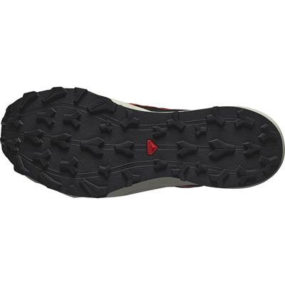Salomon THUNDERCROSS Erkek Ayakkabı L47684500