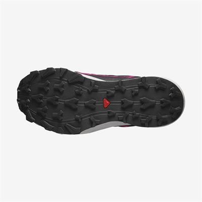 Salomon THUNDERCROSS GTX W Kadın Ayakkabı L47383500