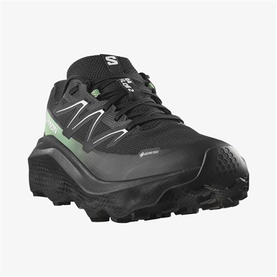 Salomon ULTRA FLOW 2 GTX Erkek Koşu Ayakkabısı L47981400