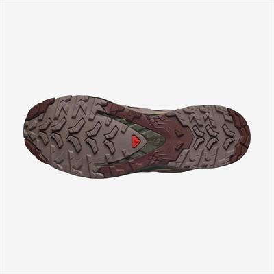 Salomon XA PRO 3D V9 Erkek Ayakkabısı L47467500