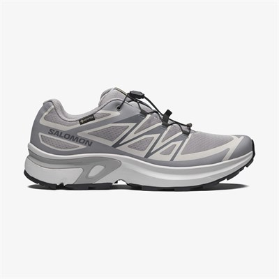 Salomon XT-EVR GTX M Erkek Ayakkabısı L49143800