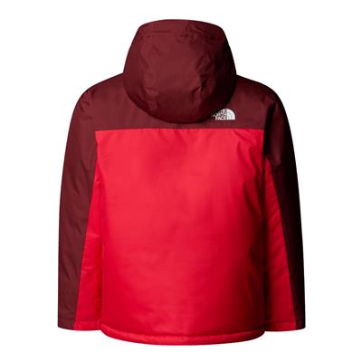 The North Face B Freedom İzolasyonlu Genç Çocuk Ceket NF0A88TZDI91