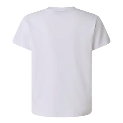 The North Face B LIQUID LOGO REG SS TEE Genç Tişört NF0A8G1WFN41