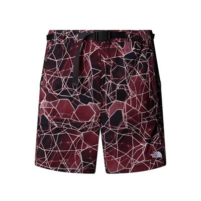 The North Face Erkek CLASS V PATHFINDER BELTED Şort - 7