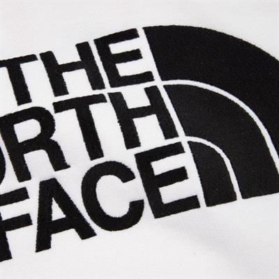 The North Face Erkek Drew Peak Pullover Hoodie T0AHJYLA9