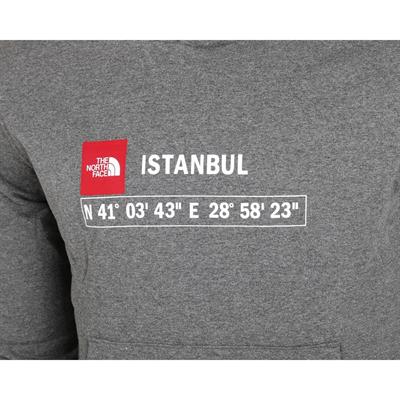 The North Face Erkek GPS HOODIE  ISTANBUL NF0A7ZC1DYY1