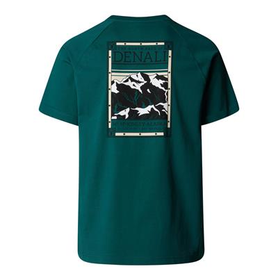 The North Face Erkek Kısa Kollu NORTH FACES Tişört NF0A87NU6GI1
