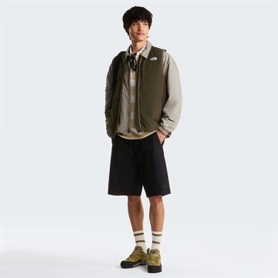 The North Face M BAGGY BETA SHORTS Erkek Sportif Şort NF0A8G0AJK31