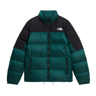 The North Face M DIABLO DOWN 2.0 JACKET Erkek Ceket NF0A8993UY61