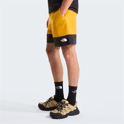 The North Face M LEYNAR SHORT Erkek Sportif Şort NF0A8FU8ZU31